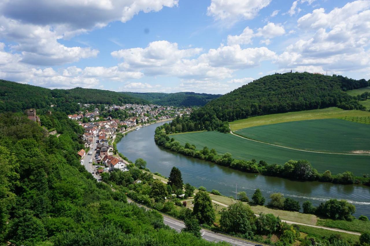 Fewo Am Neckarsteig Mit Anbindung An Heidelberg Neckarsteinach Bagian luar foto