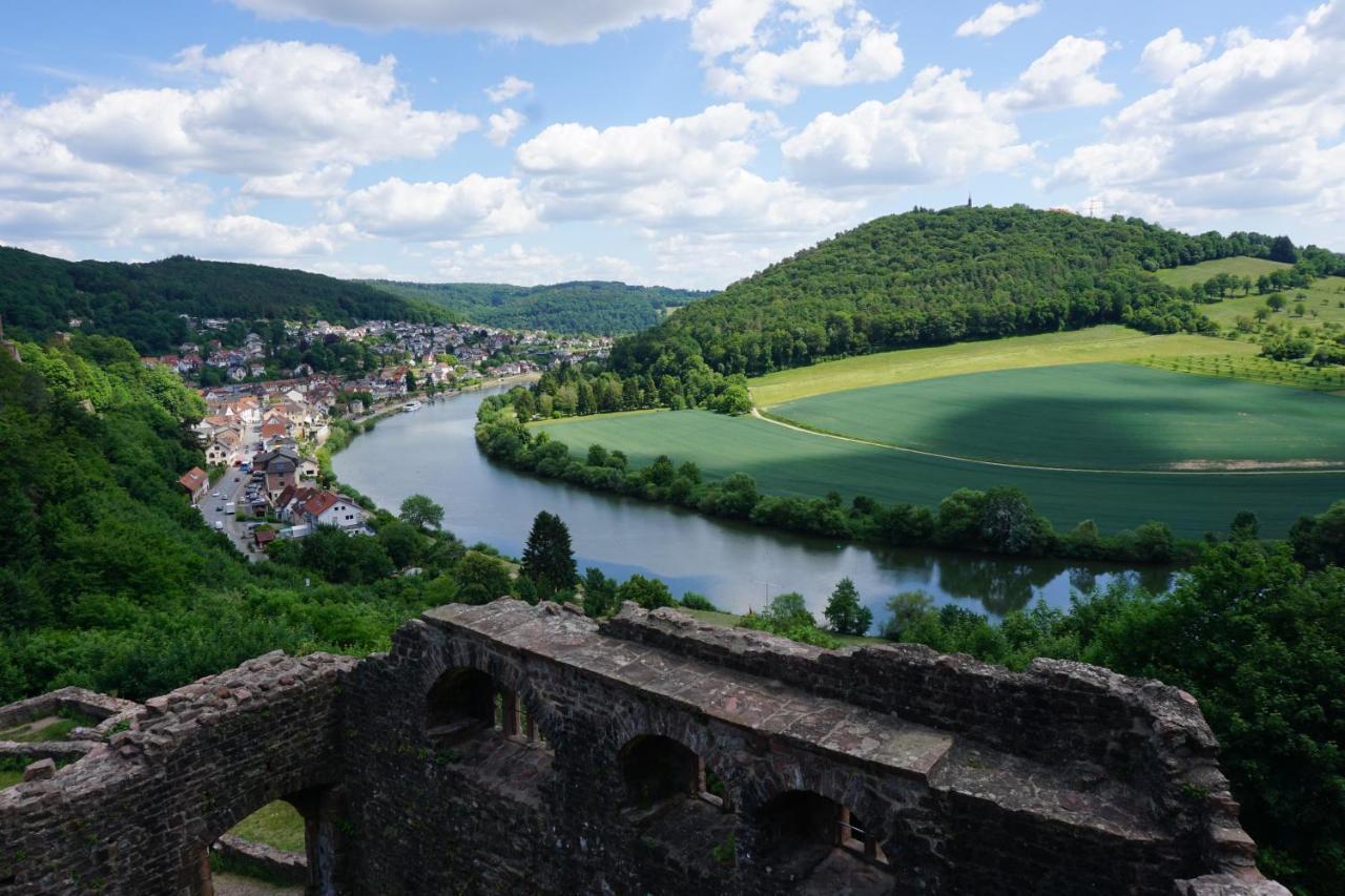 Fewo Am Neckarsteig Mit Anbindung An Heidelberg Neckarsteinach Bagian luar foto