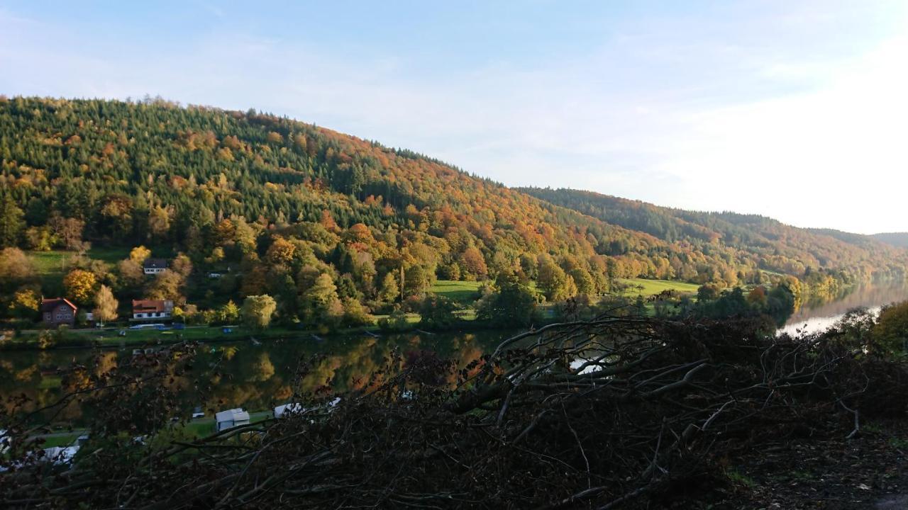 Fewo Am Neckarsteig Mit Anbindung An Heidelberg Neckarsteinach Bagian luar foto