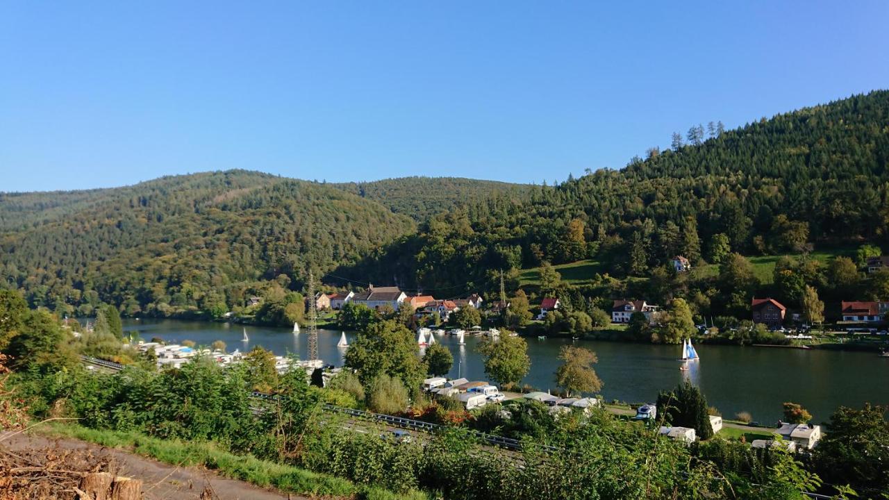 Fewo Am Neckarsteig Mit Anbindung An Heidelberg Neckarsteinach Bagian luar foto