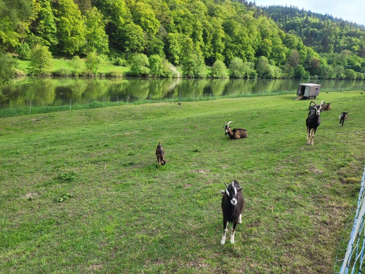 Fewo Am Neckarsteig Mit Anbindung An Heidelberg Neckarsteinach Bagian luar foto